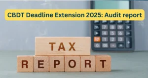 Income Tax Audit report news