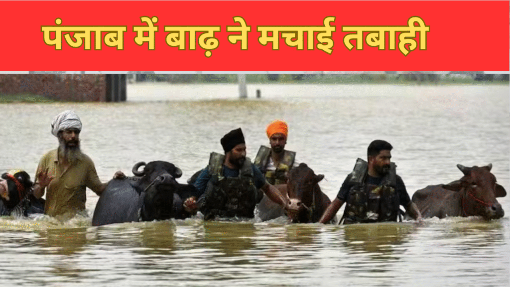 Punjab Flood