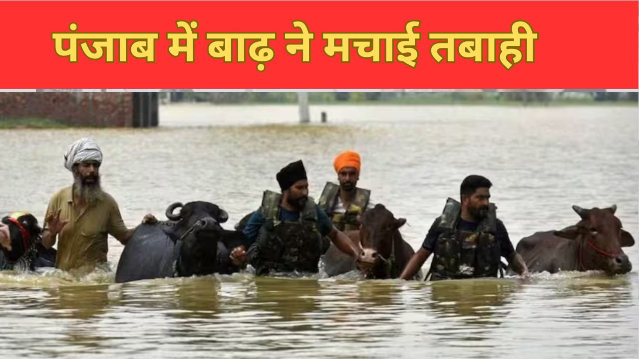 Punjab Flood