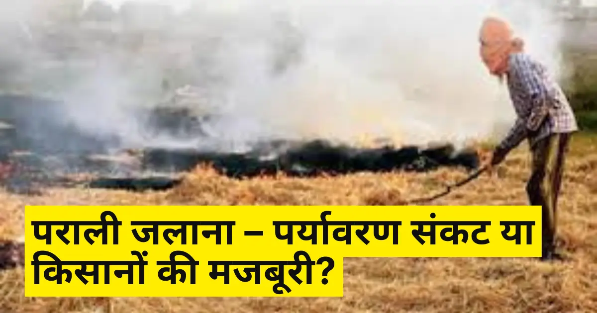 पराली जलाना (stubble) – पर्यावरण संकट या किसानों की मजबूरी